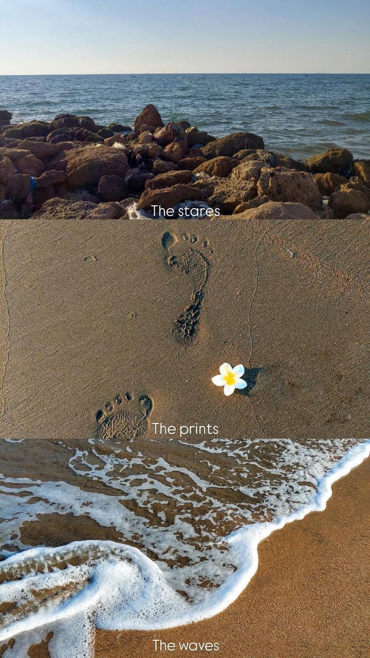 the stares · the prints · the waves